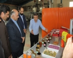 معاون استاندار تاکید کرد: تلاش برای توسعه گردشگری در حوزه خوراک