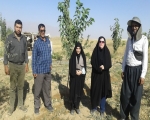 احیای قنات، احیای کشاورزی 